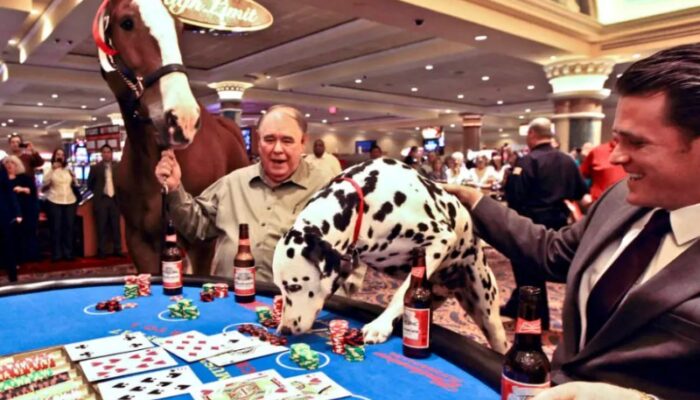 public-relations-gaming