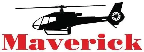 Elevate Your Day Trip Festival Experience with Maverick Helicopters